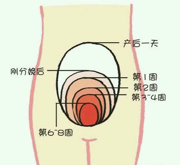 盆底的世界，不平凡！